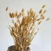 15/50PCS Artificial Dried Pampas Grass Reed Rabbit Tail Grass Flower Bunch Decor