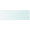 Shelf Panel Tempered Glass Clear Sheet Storage Shelving Display Shelves Rack