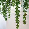 2Pcs Artificial Hanging Plant Fake Succulent String of Pearls Wedding Home Decor