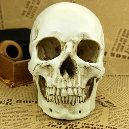 Realistic Skull Head Gothic Figurine Human Skeleton Ornament Horror Art Bar Deco