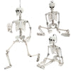 Skull Human Skeleton Prop Horror Full Size Body Anatomy Model Party Scary Decor