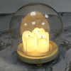 Small/Large Round Glass Ornament Display Dome Cloche Bell Jar with Wooden Base
