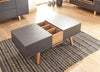 Coffee Table Tea Rectangle Double Lift-Up Storage Living Room Furniture Grey/Oak