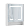 Mirrored Bathroom Cabinet LED White 1/2/3 Doors Mounted Cupboard Wall Mounted