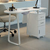 White Professional Manicure Table Salon Nail Station Beauty Desk +Dust Collector