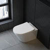 Modern Wall Hung Toilet White WC Pan Soft Close Seat Ceramic Bathroom Cloakroom