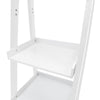 4-Layer Ladder Shelving Unit Home Office Display Rack Etagere Shelf A Frame Unit