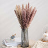 10/30PCS Natural Dried Pampas Grass Reed Flower Bunch Bouquet Wedding Home Decor