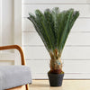 Large Ferns Cycas Tree Potted Green Plant Ficus Houseplant w/ Pot Indoor Outdoor