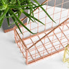 Electroplated Iron Rose Gold Book Holder Desktop Shelf File Magazine Storage