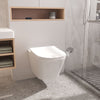 Modern Close Coupled Toilet Bathroom White Ceramic Soft Close Seat WC Pan Home