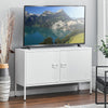 Metal Cabinet 2 Doors Storage Cupboard Console TV Stand File Box for Living Room