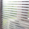 60x500cm Home Office Privacy-Froste