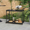 Bar Cart Poly Rattan Versatile and spacious Stable and robust with handle