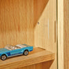 Display Cabinet Wall Mount Doors Unit Collectibles Models 5 Shelves Glass Beechw