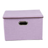 Foldable Fabric Storage Box with lid Drawer Toys/Books/Clo