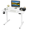Flamaker Electric Standing Desk Height Adjustable Standing Desk for Home Office