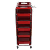 6 Layer Barber Hairdressing Beauty Salon Trolley Chrome Frame Storage Cart UK