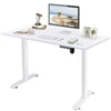 Standing Desk Electric Height Adjustable Desk 100/110/120 cm Desk Computer Desk