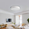 LED Lamp Ceiling Light Modern Living Room Bedroom Chic Pendant Lamp Energy Saved
