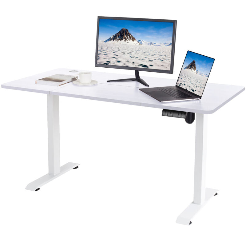 Flamaker 140x70 cm Electric Standing Desk Height Adjustable Computer Desk