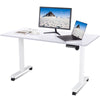 Flamaker 140x70 cm Electric Standing Desk Height Adjustable Computer Desk