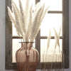 15/50PCS Natural Dried Pampas Grass Reed Rabbit Tail Grass Flower Bunch Decor UK