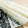 15/50PCS Artificial Dried Pampas Grass Reed Rabbit Tail Grass Flower Bunch Decor