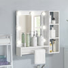 Mirrored Bathroom Cabinet LED White 1/2/3 Doors Mounted Cupboard Wall Mounted
