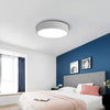 LED Lamp Ceiling Light Modern Living Room Bedroom Chic Pendant Lamp Energy Saved