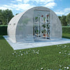 Tomato Greenhouse Frame and Reinforced PE Weather Cover Garden Vegetables Grow