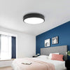 LED Lamp Ceiling Light Modern Living Room Bedroom Chic Pendant Lamp Energy Saved