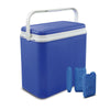 36 Litre Extra Large Cooler Box Picnic Lunch Beach Camping + 3 Ice Pack Option