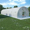 Reinforced Steel Walk-in Polytunnel Greenhouse with Door and Windows (6 Sizes)