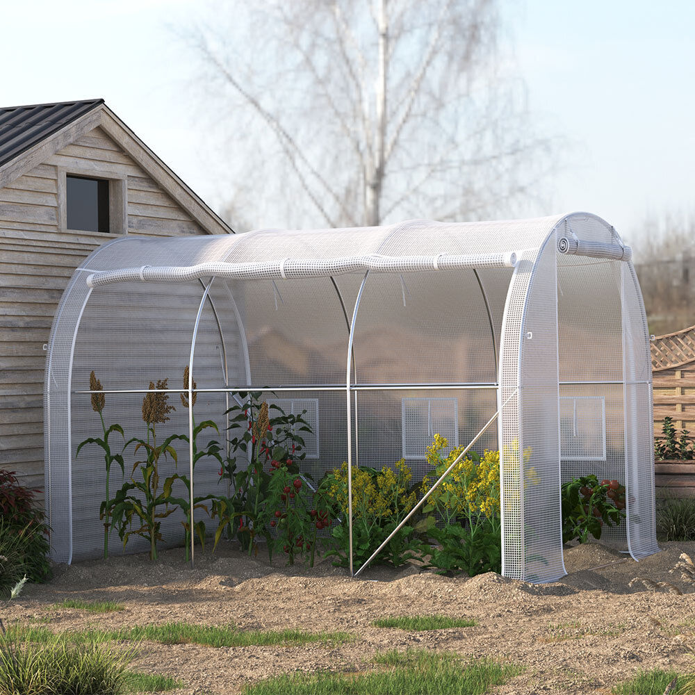 Walk-in Poly Tunnel Green House Galvanized Frame Outdoor Garden Planting Shed XL