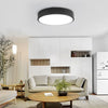 LED Lamp Ceiling Light Modern Living Room Bedroom Chic Pendant Lamp Energy Saved