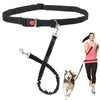 Hands Free Dog Walking Belt Pet Running Lead Waist Belt Jogging Hiking Coupler