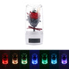 Flower Rose Preserved Flower Bluetooth Speaker LED Night Light Home Decor Lamp
