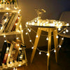 Battery Powered LED Globe Bulb Ball Fairy String Lights Outdoor Party Waterproof