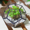 Tabletop Container Box Geometric Succulent Bonsai Pot Metal Glass Terrarium UK