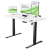 Electric Standing Desk Height Adjustable Desk Ergonomic Sit Stand Office Desk