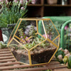 Tabletop Container Box Geometric Succulent Bonsai Pot Metal Glass Terrarium UK