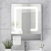 Mirrored Bathroom Cabinet LED White 1/2/3 Doors Mounted Cupboard Wall Mounted