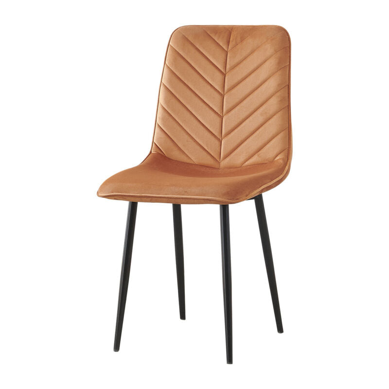 Dining Chairs 2er Set, Velvet Cover Chair for Dining Room, Chairs Set of 2