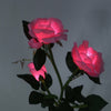 3 LED Solar Power Rose Flower Stake Lights Outdoor Garden Path Luminous Lamps