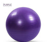 65cm Fitness Exercise Ball Yoga Gym Swiss Pregnancy Birthing Anti-Burst WithPump