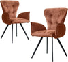 2PC Modern Dining Ergnomic Arm Chairs with Metal Leg Kitchen Living Room