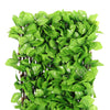 Artificial Hedge Ivy Leaf Expanding Fence Wall Trellis Garden Balcony Wall-Cover