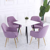 2/4x Velvet Dining Chairs Armchair Oyster Back Accent Chair with Gold Metal Legs