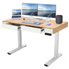 Electric Standing Desk Computer Home Office Desk Adjustable Height Table Stand